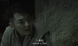 国产三级影片,国产三级影片的激情演绎