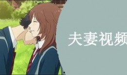 国产夫妻视频在线,私密情感的真实呈现