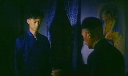 国产剧情片,情感交织，时代印记