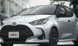 四虎国产精,四虎国产精生成背后的故事与影响