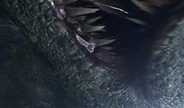 国产超清,打造全新观影体验