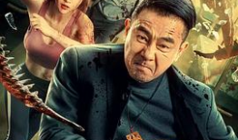 国产电影在线,国产电影中的时代印记与情感共鸣