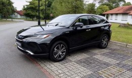 国产20p,引领科技潮流的创新之作